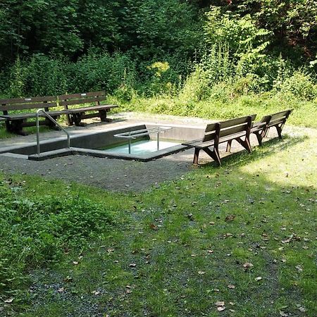 Bergzeit In Langewiese - Appartment Landelijke Star Winterberg Dış mekan fotoğraf